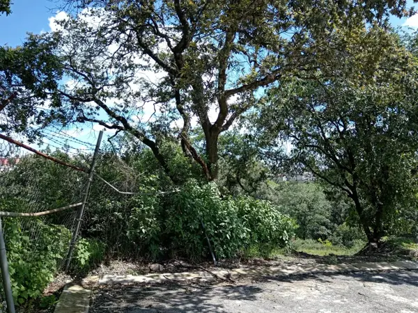 Terreno en venta en Condado de Sayavedra, Atizapán de Zaragoza — foto 3 de 12