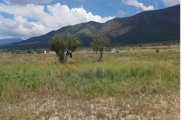 Terreno en venta en San Antonio de las Alazanas, Arteaga — foto 3 de 3