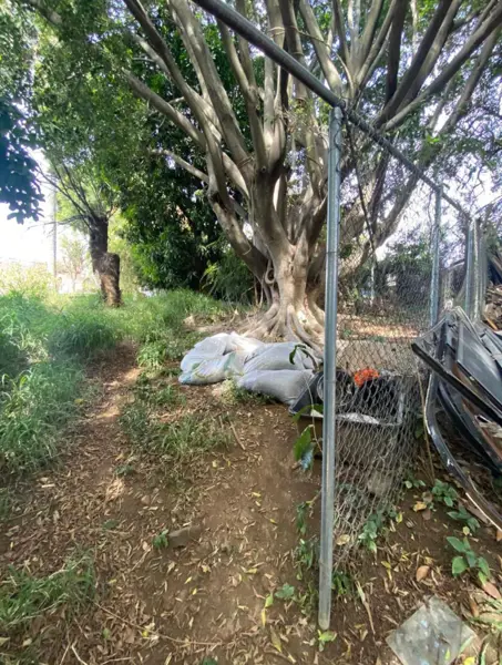 Terreno en venta en Delicias, Cuernavaca — foto 2 de 5