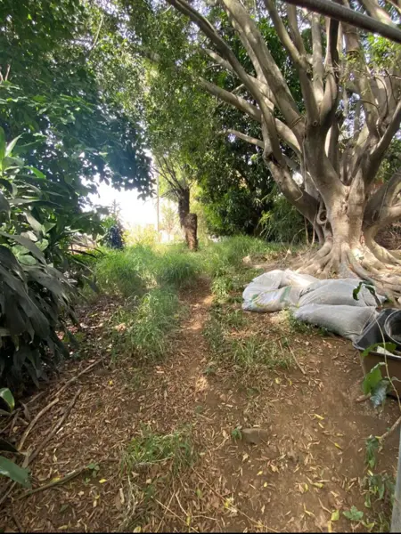 Terreno en venta en Delicias, Cuernavaca — foto 3 de 5