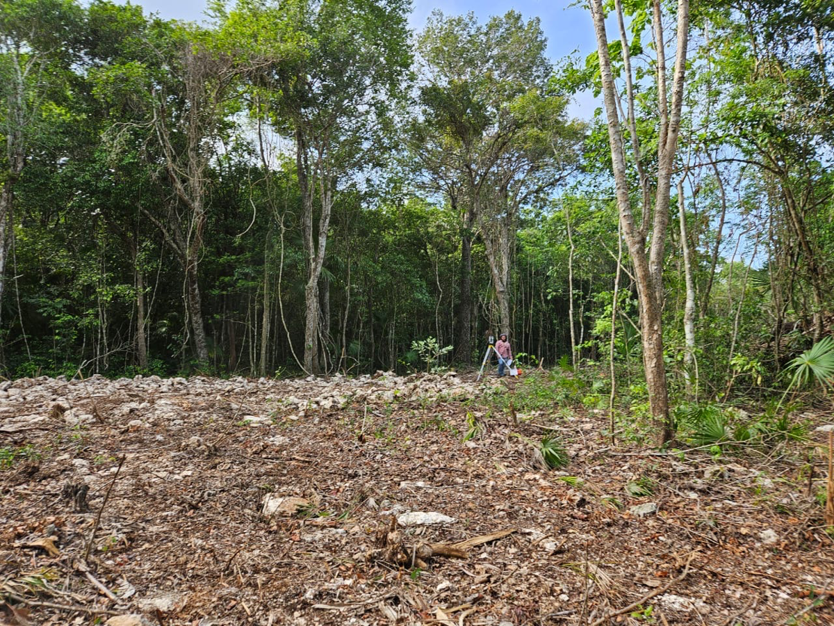 Terreno en venta en Porto Alto, Solidaridad — foto 1 de 11