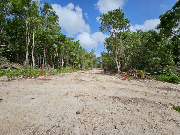 Terreno en venta en Porto Alto, Solidaridad — foto 2 de 11