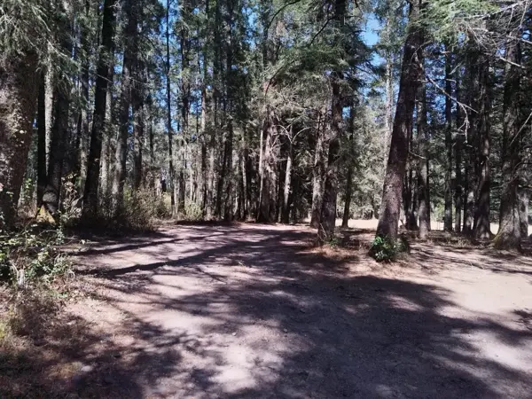 Terreno en venta en La Presa, Mineral del Chico — foto 2 de 12