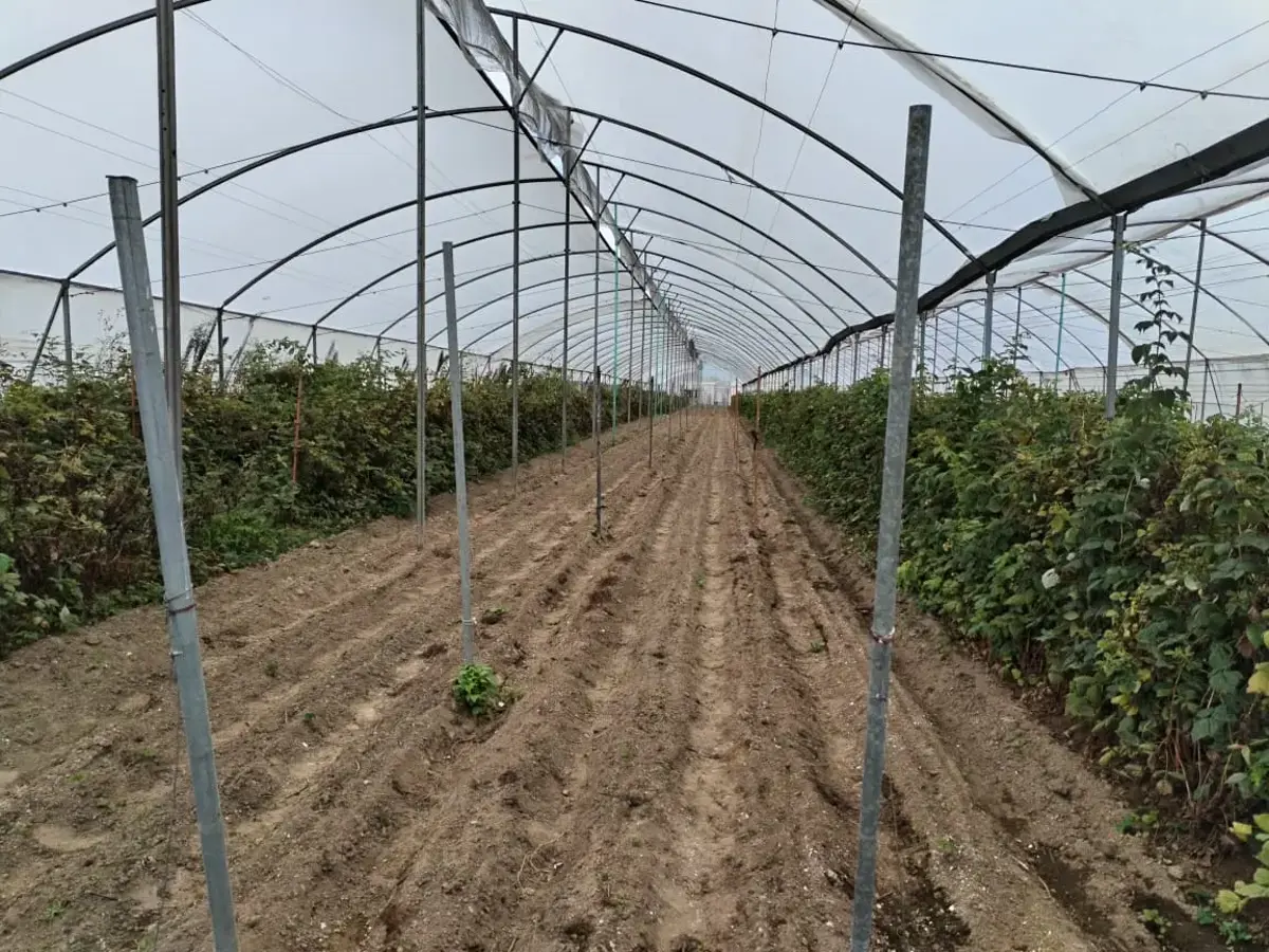Terreno en venta en San Jeronimo Tianguismanalco, San Martín Texmelucan — foto 1 de 4