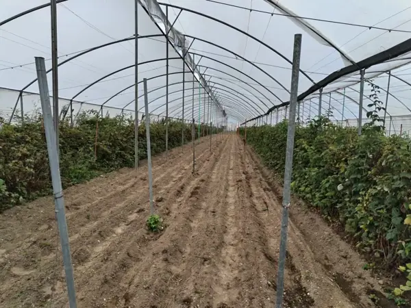 Terreno en venta en San Jeronimo Tianguismanalco, San Martín Texmelucan, Puebla