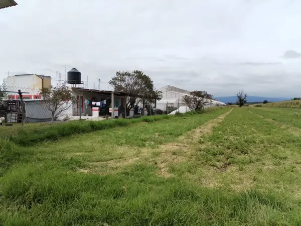Terreno en venta en San Jeronimo Tianguismanalco, San Martín Texmelucan — foto 3 de 4