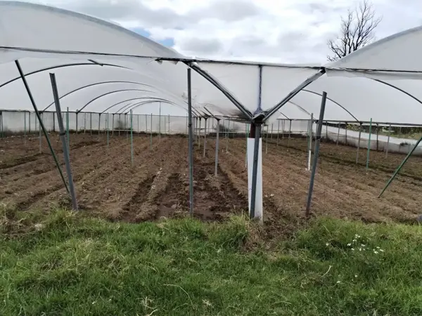Terreno en venta en San Jeronimo Tianguismanalco, San Martín Texmelucan — foto 2 de 4