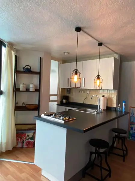 Departamento en renta en Condesa, Cuauhtémoc — foto 3 de 13