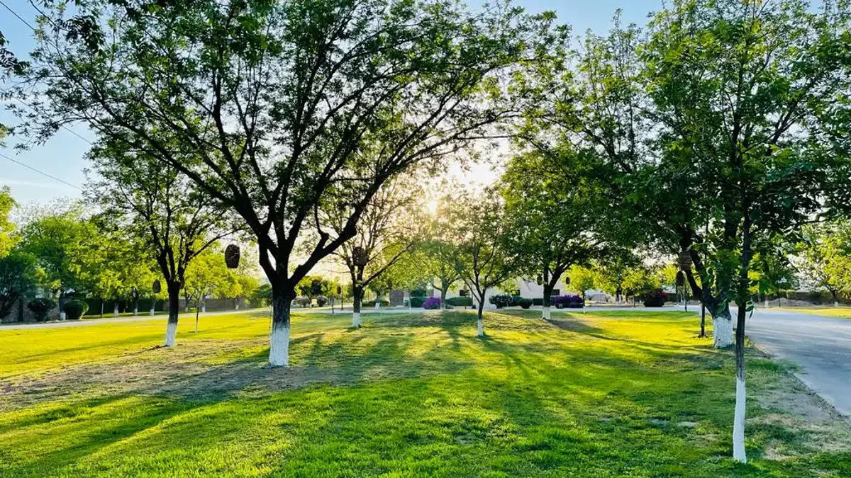 Terreno en venta en Las Trojes, Torreón, Coahuila de Zaragoza