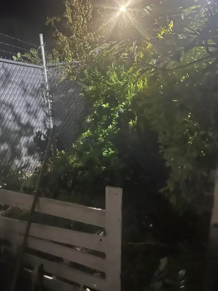 Casa en venta en Valle de los Reyes, Morelia — foto 2 de 10