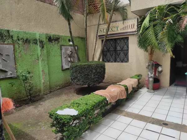 Casa en venta en Arcos Vallarta, Guadalajara — foto 2 de 14