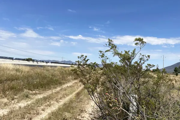 Terreno en renta en El Derramadero, Saltillo — foto 3 de 5
