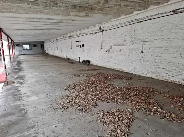 Edificio en venta en Ignacio Zaragoza, Veracruz — foto 3 de 15