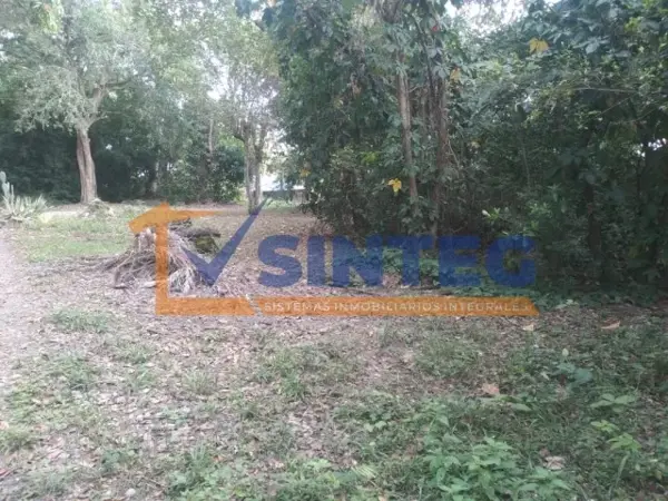 Terreno en venta en Tepeyac, Poza Rica de Hidalgo — foto 3 de 12