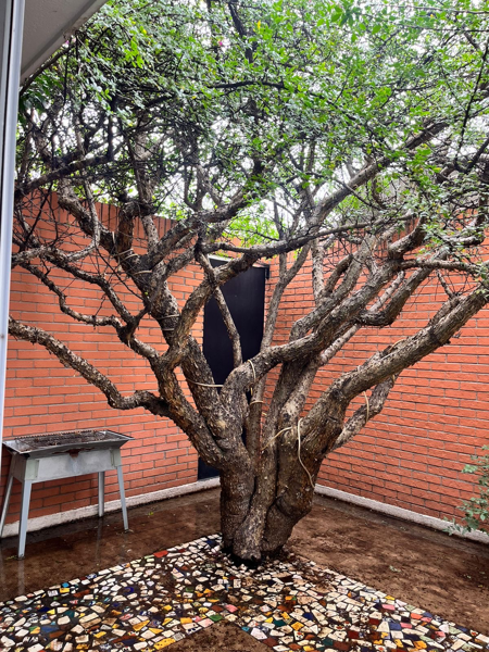 Casa en venta en La Carcaña, San Pedro Cholula — foto 3 de 13