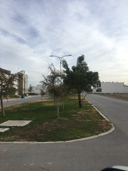Terreno en venta en Hacienda del Rosario, Torreón — foto 3 de 5