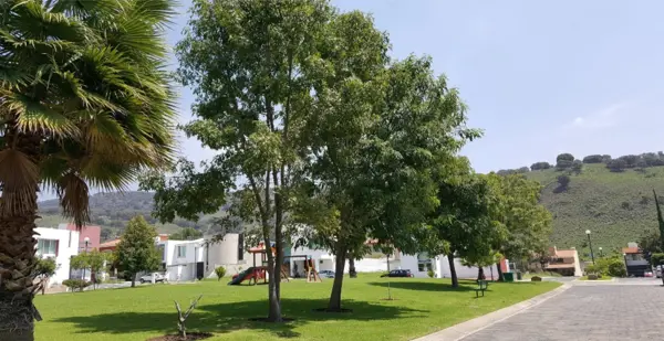Terreno en venta en Bosques Santa Anita, Tlajomulco de Zúñiga — foto 3 de 11