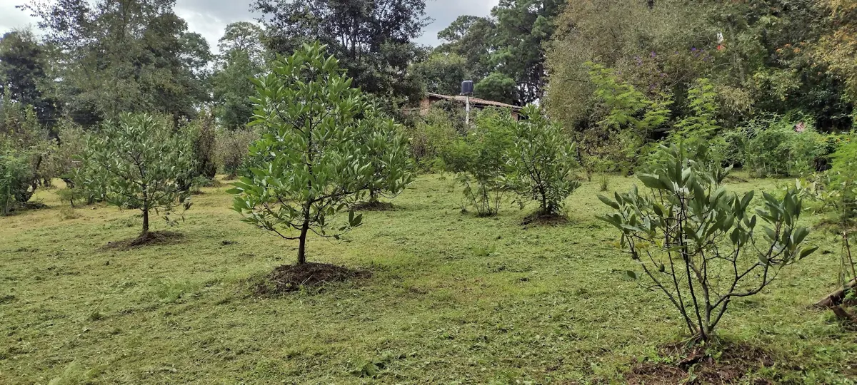 Terreno en venta en Avandaro, Valle de Bravo — foto 1 de 10