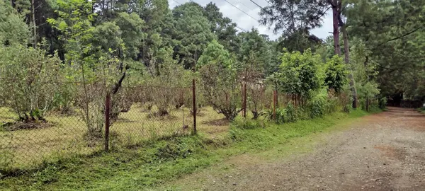 Terreno en venta en Avandaro, Valle de Bravo — foto 2 de 10
