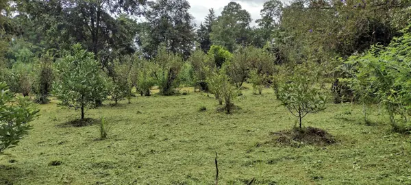 Terreno en venta en Avandaro, Valle de Bravo — foto 3 de 10
