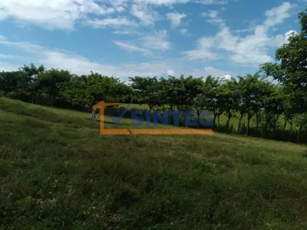 Finca-Rancho en venta en La Grandeza, Papantla — foto 3 de 49