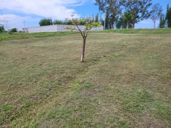 Terreno en venta en Dos Ríos, Emiliano Zapata — foto 2 de 6