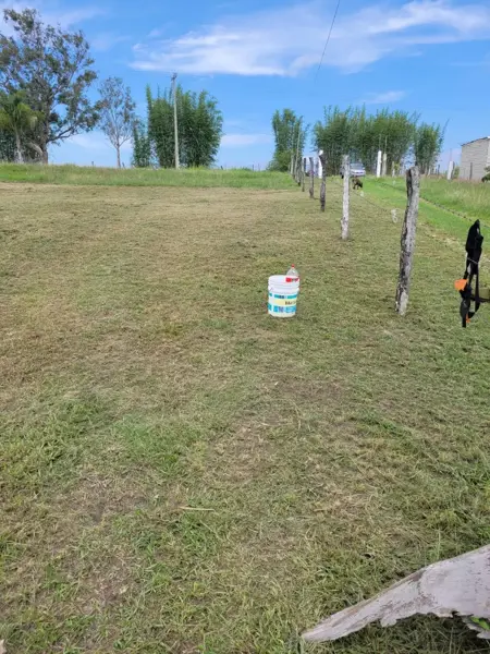 Terreno en venta en Dos Ríos, Emiliano Zapata — foto 3 de 6