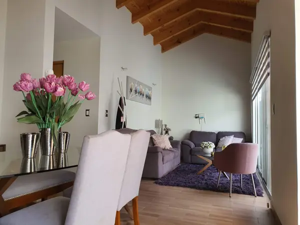 Casa en venta en Sierra Nogal, León — foto 2 de 31