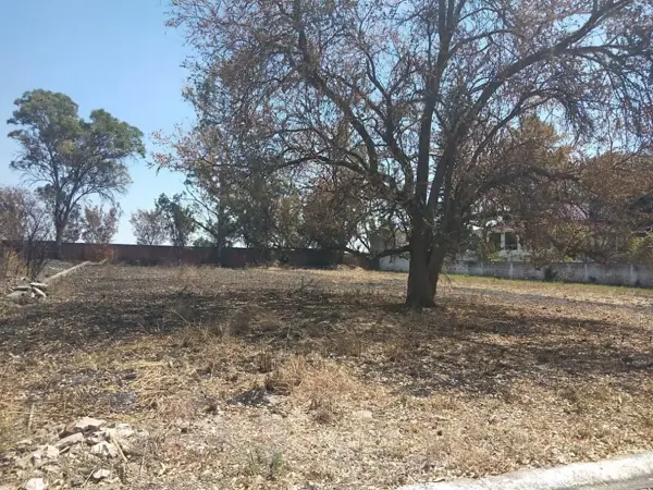 Terreno en venta en Isla de Cuautla, Ayala — foto 2 de 3