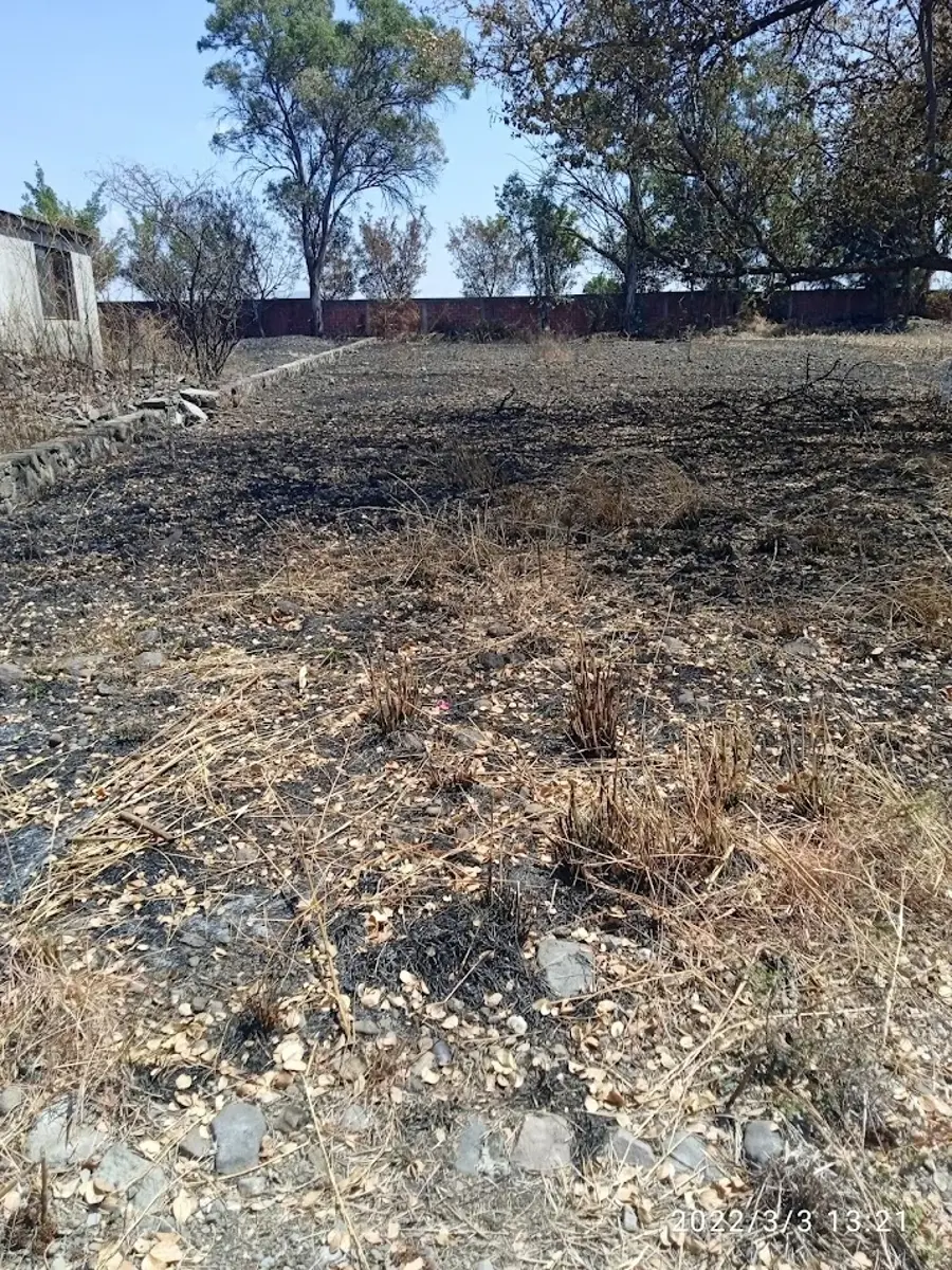 Terreno en venta en Isla de Cuautla, Ayala — foto 1 de 3