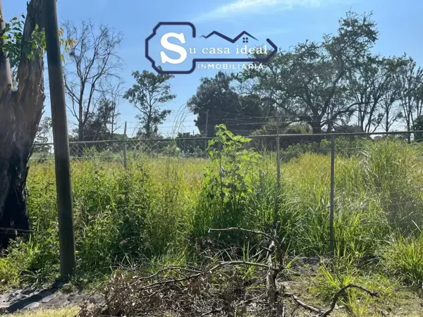 Terreno en venta en Isla de Cuautla, Ayala — foto 2 de 5