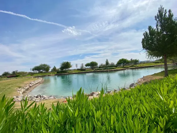 Terreno en venta en Altozano la Nueva Laguna, Gómez Palacio — foto 2 de 6