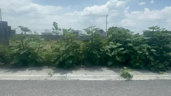 Terreno en venta en San Juan Texcalpan, Atlatlahucan — foto 3 de 6