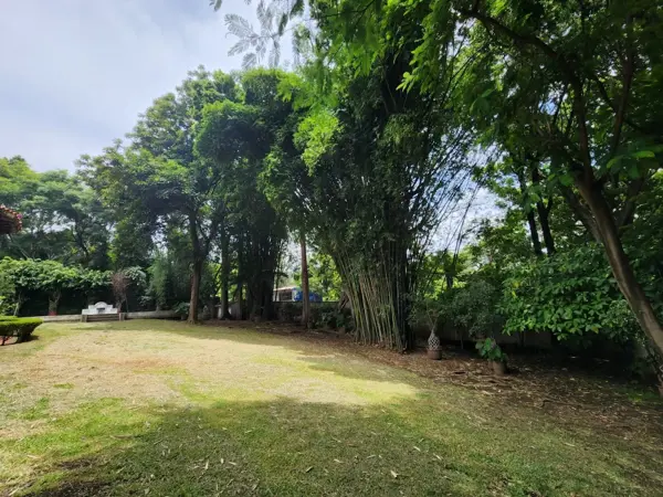Terreno en venta en Rancho Tetela, Cuernavaca — foto 2 de 6