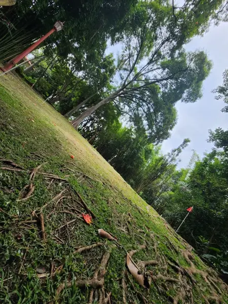 Terreno en venta en Rancho Tetela, Cuernavaca — foto 3 de 6