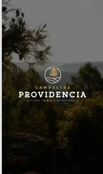 Cabaña En Venta en Providencia Durango