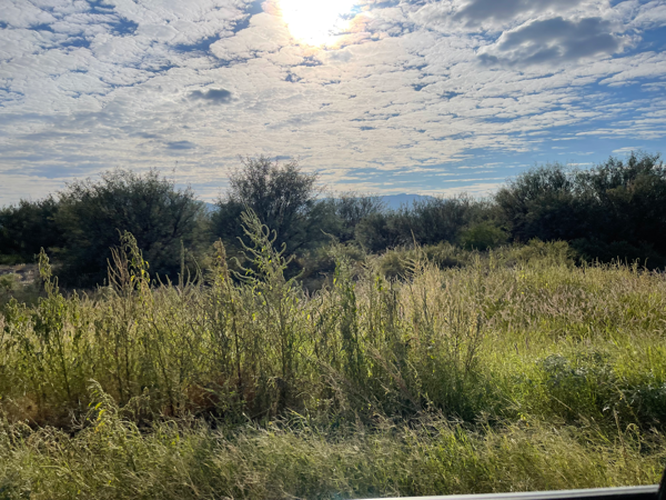 Terreno en venta en Santa Clara, Gómez Palacio — foto 2 de 5