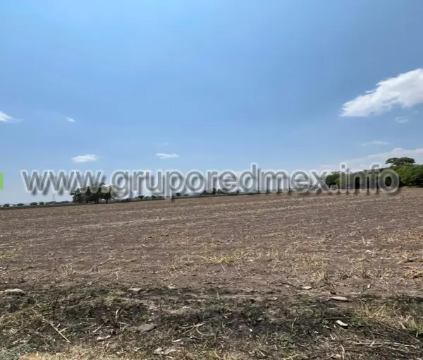 Terreno en renta en El Sauz Bajo, Pedro Escobedo — foto 3 de 3