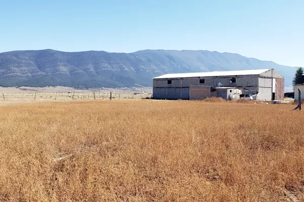 Terreno en venta en San Ignacio de Abajo, Arteaga — foto 2 de 6
