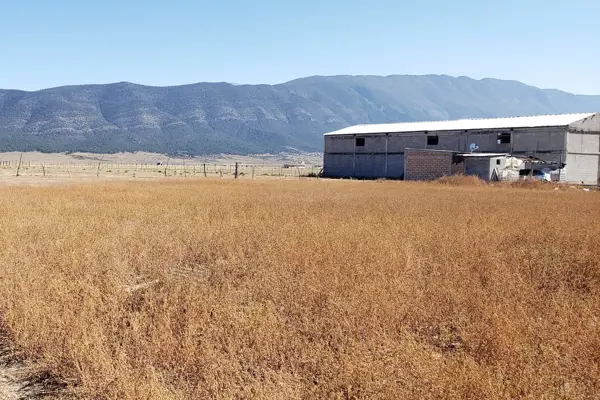 Terreno en venta en San Ignacio de Abajo, Arteaga — foto 3 de 6