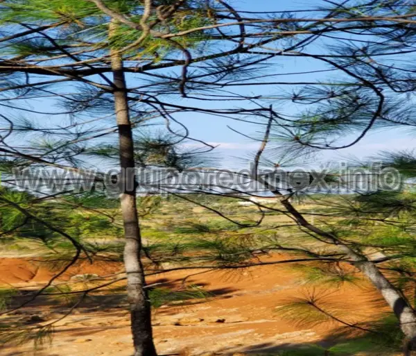 Terreno en venta en San Pablo, Amealco de Bonfil — foto 3 de 9