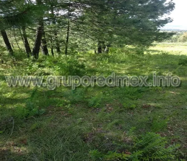 Terreno en venta en San Pablo, Amealco de Bonfil — foto 2 de 9