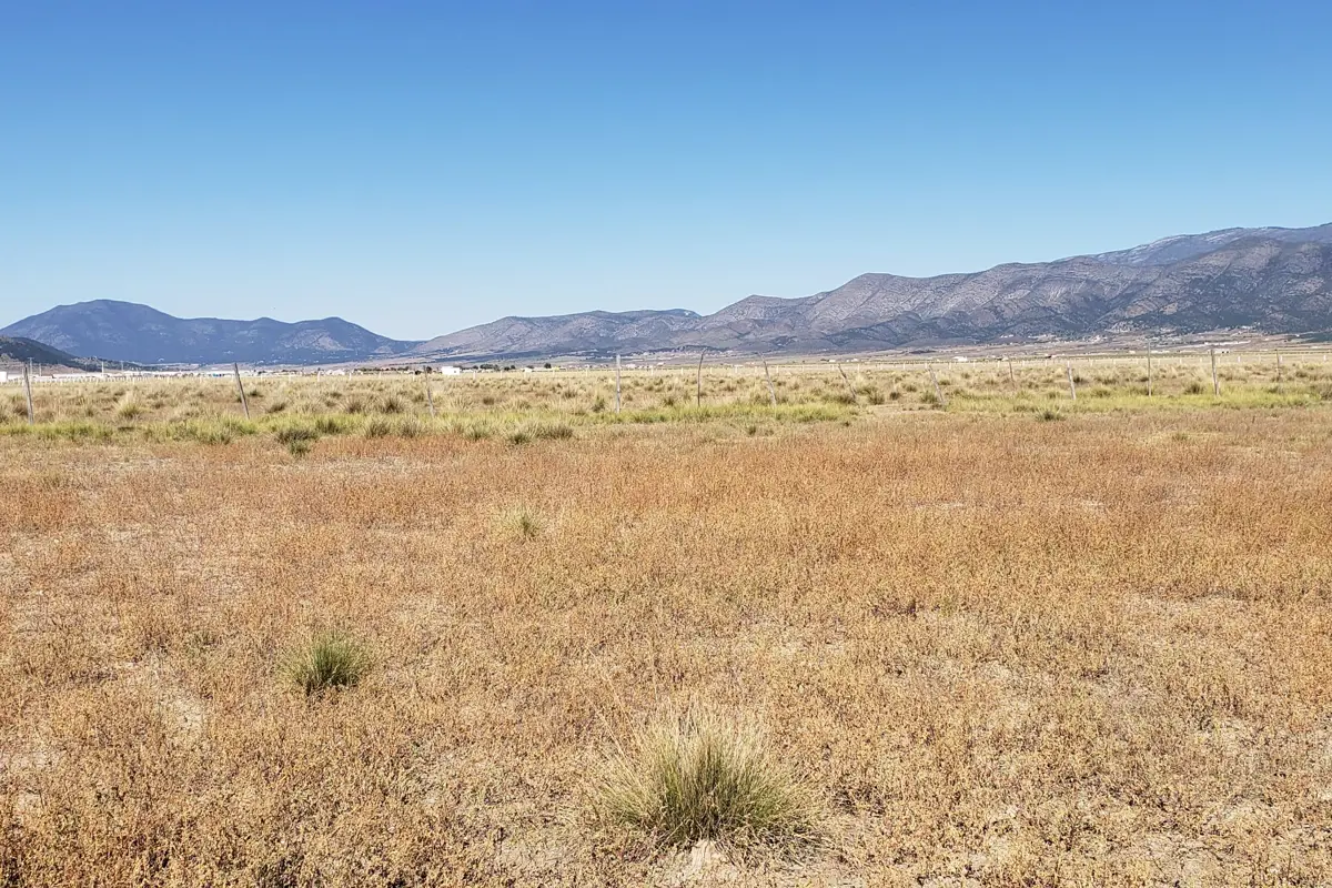 Terreno en venta en San Ignacio de Abajo, Arteaga — foto 1 de 3