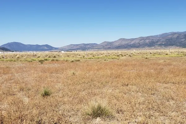 Terreno en venta en San Ignacio de Abajo, Arteaga, Coahuila de Zaragoza Terreno en venta en San Ignacio de Abajo, Arteaga, Coahuila de Zaragoza