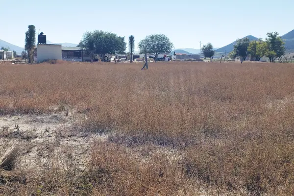 Terreno en venta en San Ignacio de Abajo, Arteaga — foto 2 de 3