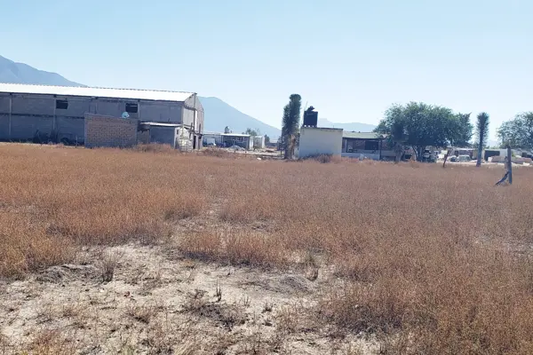 Terreno en venta en San Ignacio de Abajo, Arteaga — foto 3 de 3