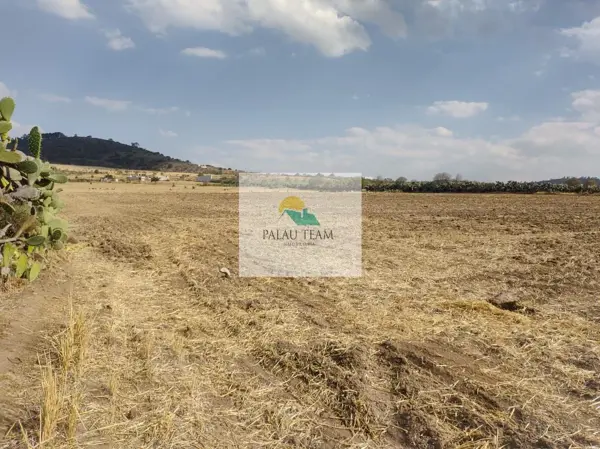 Terreno en venta en Singuilucan Centro, Singuilucan — foto 2 de 21