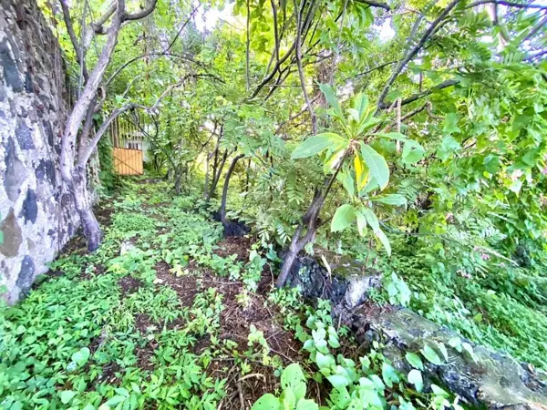 Terreno en venta en El Calvario, Emiliano Zapata — foto 3 de 12