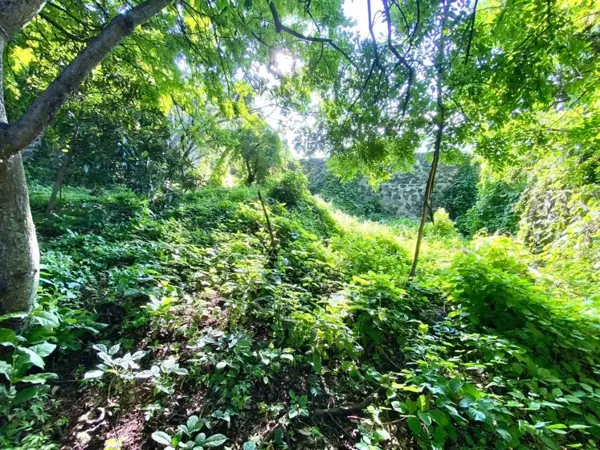 Terreno en venta en El Calvario, Emiliano Zapata — foto 2 de 12