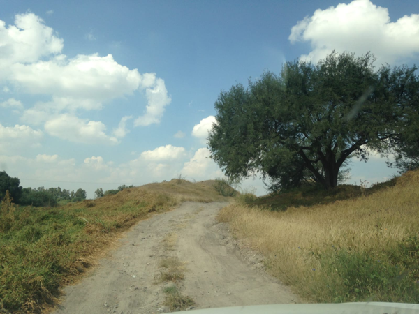 Terreno en venta en El Tecolote (Cerrito de Hierbas), Cortazar — foto 2 de 9